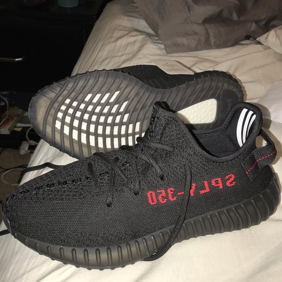 Meet your Posher, Mason - Picture 1 of 1